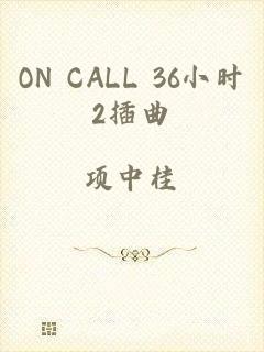 ON CALL 36小时2插曲